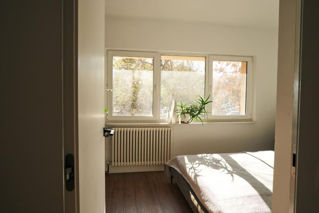 Ultracentral Two Rooms Apartment In Bukarest Kültér fotó